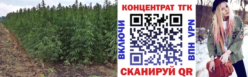 как найти закладки  Кемерово  Дистиллят ТГК THC oil 