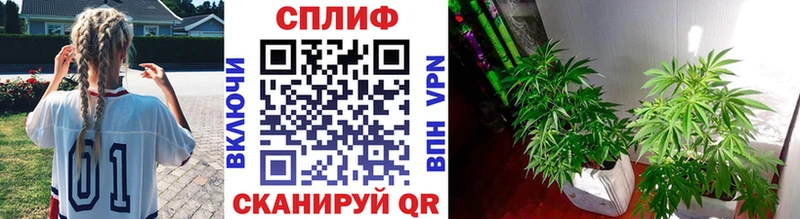 купить наркотики сайты  Кемерово  Каннабис Ganja 